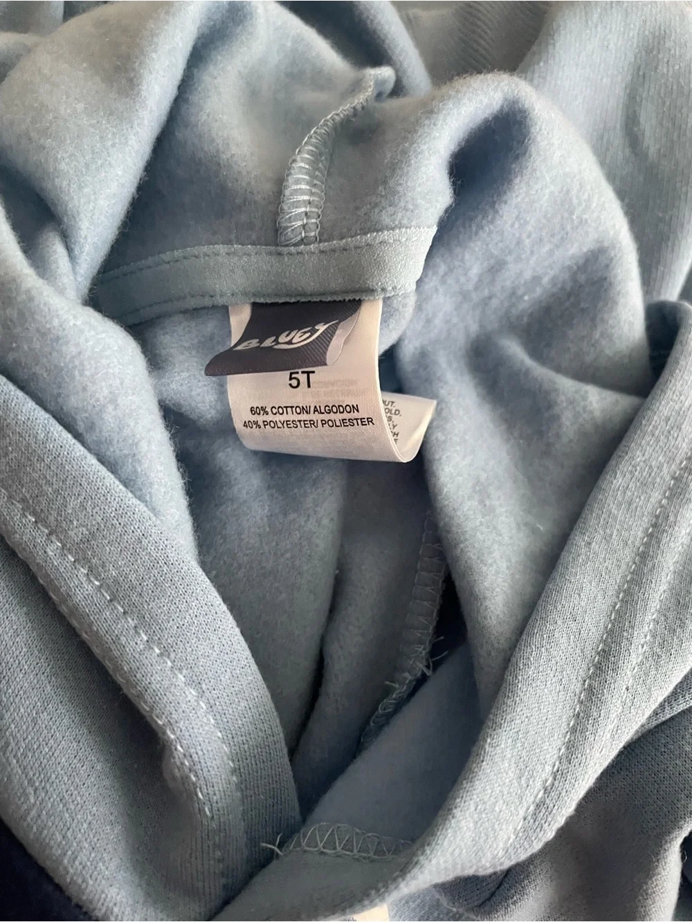 Toddler Boys NWT 5T Bluey and Bingo Hooded Sweat Pant Set